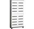 HEDRIC 4 DOOR SHOE CABINET BLACK/WHITE